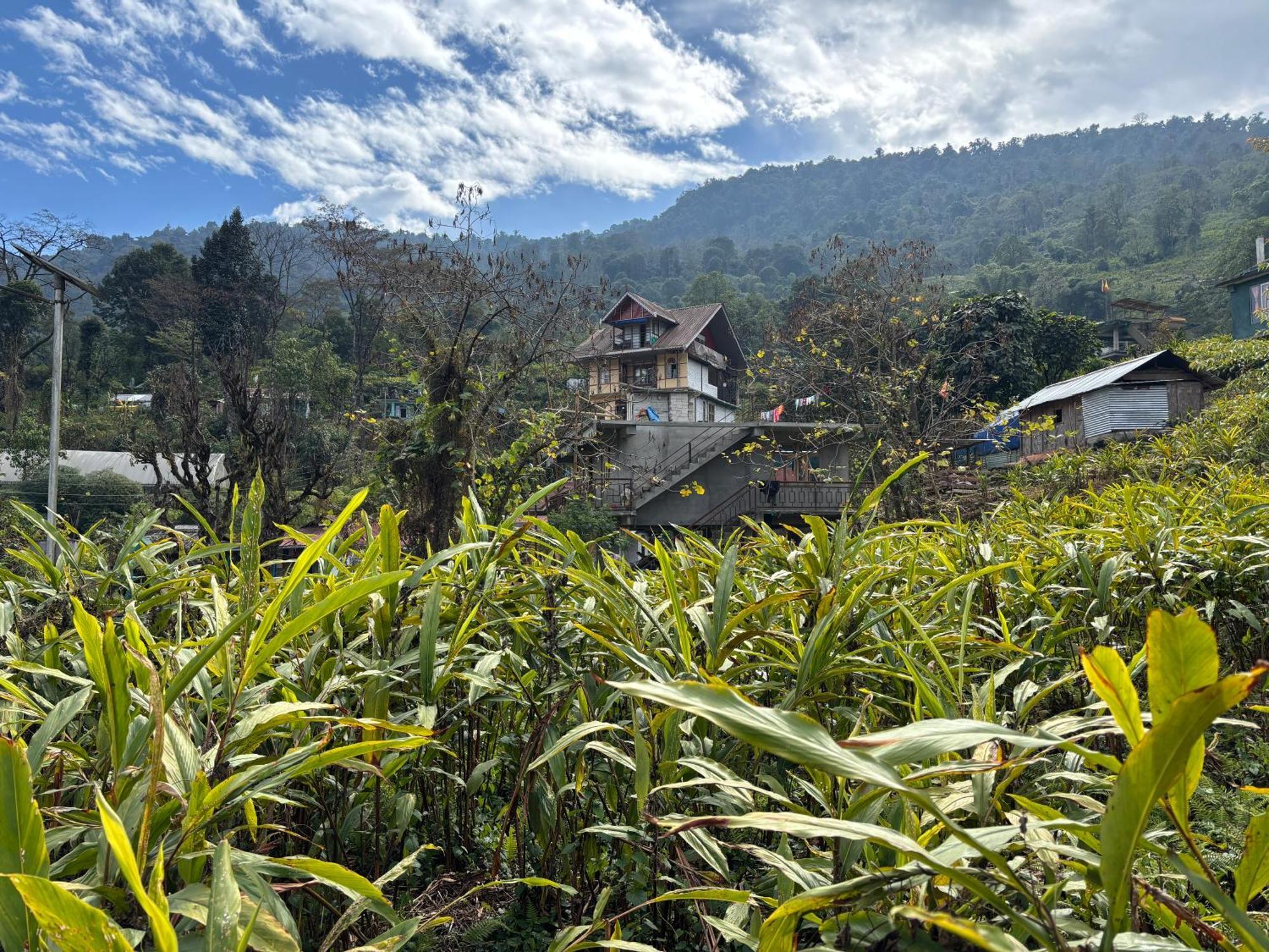 Odyssey'S Darap Eco Retreat Apartment Pelling Exterior photo